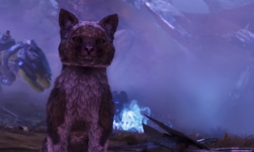 《方舟生存飞升》可爱新生物“猫”上线，性格各异，猫党狂喜