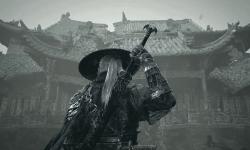 《影之刃零》制作人被中国传媒大学聘为教授！艺术展安排上?