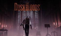 宫崎英高谈《The Duskbloods》：多人新作不代表FromSoftware远离单人游戏