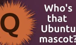 Ubuntu 25.10新代号“好奇短尾矮袋鼠”，引发业界创意解读热潮