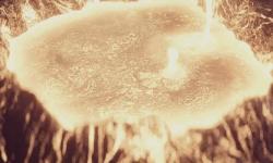 《饥饿游戏：收获日出》先导预告发布，2026年11月20日见证新篇章