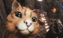 《方舟生存飞升》可爱新生物“猫”上线，性格各异，猫党狂喜